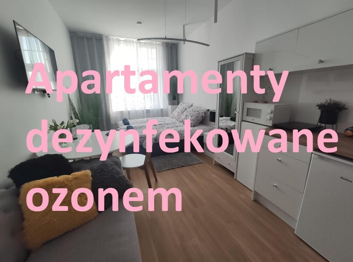 Apartament Elblag Goodenergy - Stare Miasto, Oldtown, Altstadt Kültér fotó